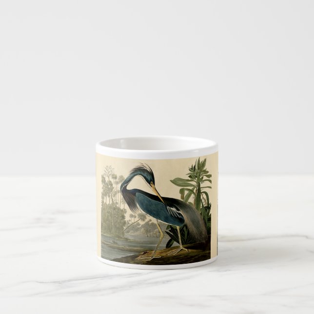 Audubon Louisiana Heron Birds America Art Espresso Cup (Front)