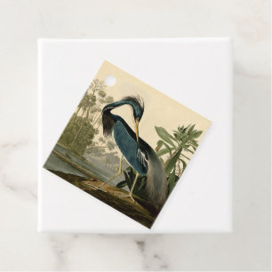 Audubon Louisiana Heron Birds America Art Favour Tags
