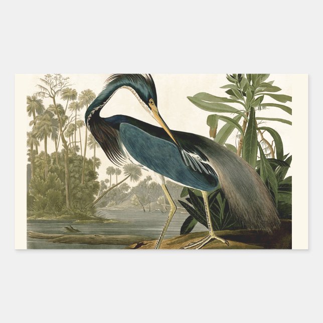 Audubon Louisiana Heron Birds America Art Sticker (Front)