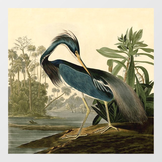 Audubon Louisiana Heron Birds America Art Window Cling (Sheet)