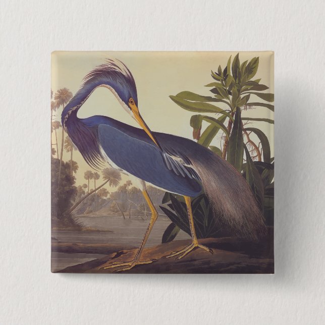 Audubon Lousiana Heron on Coastal Marsh Land 2 Inch Square Button (Front)