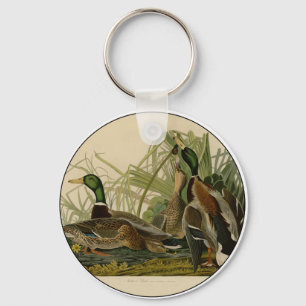 Audubon Mallard duck Bird Vintage Print Keychain
