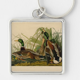 Audubon Mallard Duck Keychain