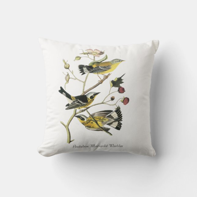 Audubon Marigold Warblelr Pillow (Front)