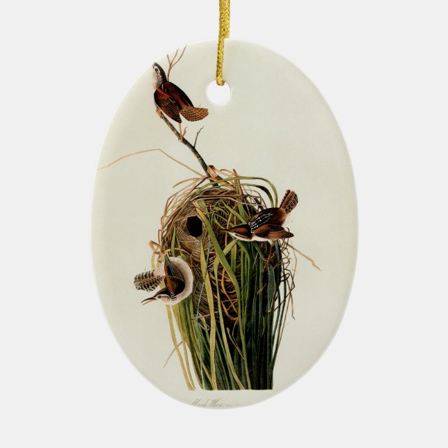 Audubon Marsh Wren Bird Art Ceramic Ornament (Front)