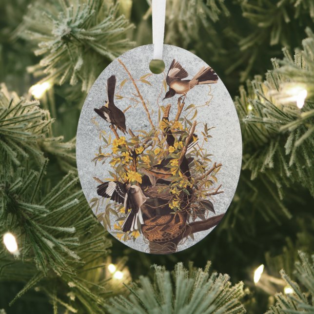 Audubon Mockingbird Family vs Snake Metal Ornament (Insitu)