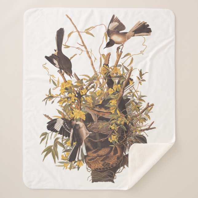Audubon Mockingbird Family vs Snake Sherpa Blanket (Front)