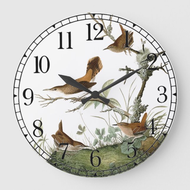 Audubon Oiseaux Wren Faune Animal Mur Horloge (Recto)