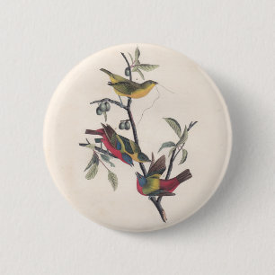 Audubon Painted Bunting Bird Wildlife 2 Inch Round Button