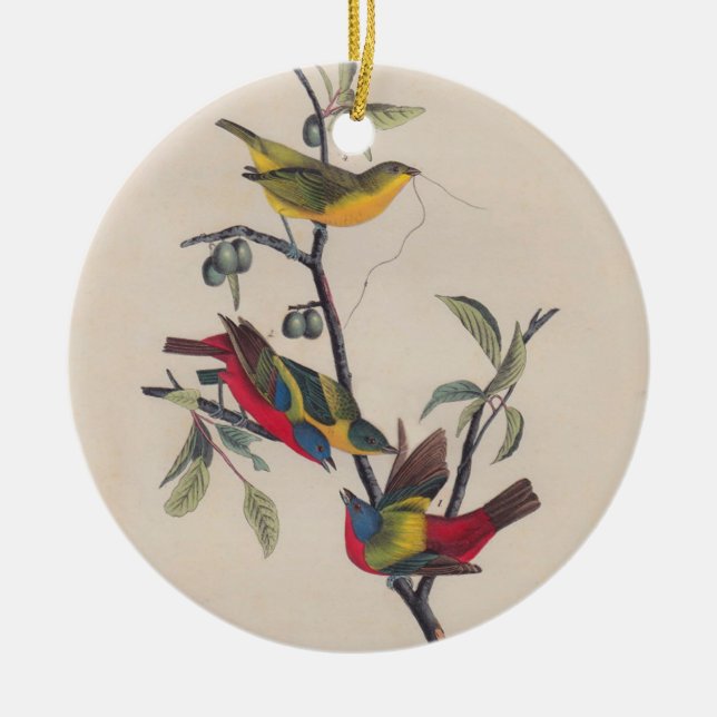 Audubon Painted Bunting Bird Wildlife Ceramic Ornament (Front)