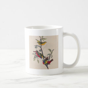 Audubon Painted Bunting Bird Wildlife Coffee Mug