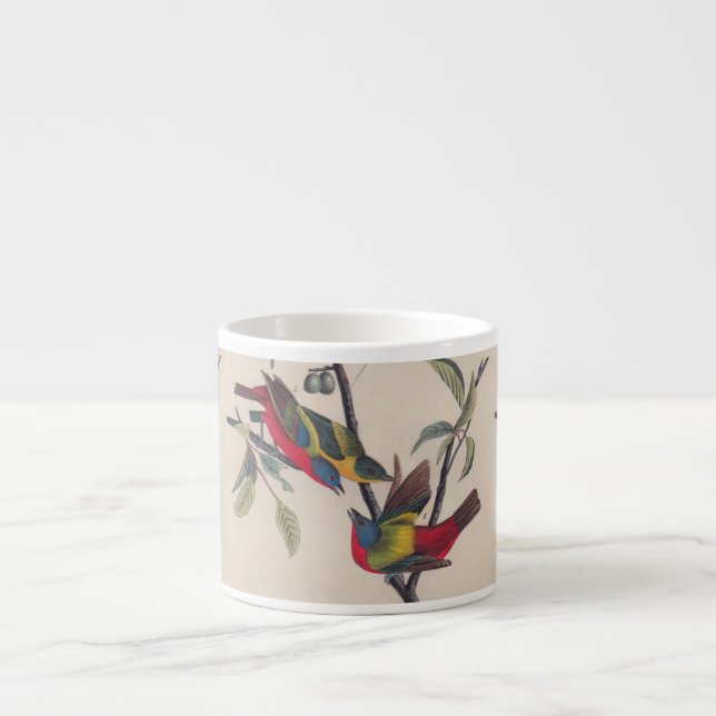 Audubon Painted Bunting Bird Wildlife Espresso Cup (Front)