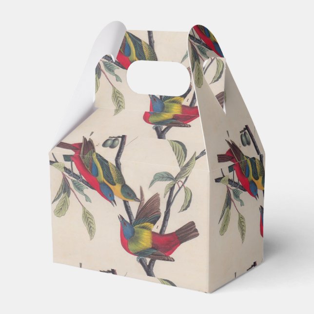 Audubon Painted Bunting Bird Wildlife Favor Box (Front Side)