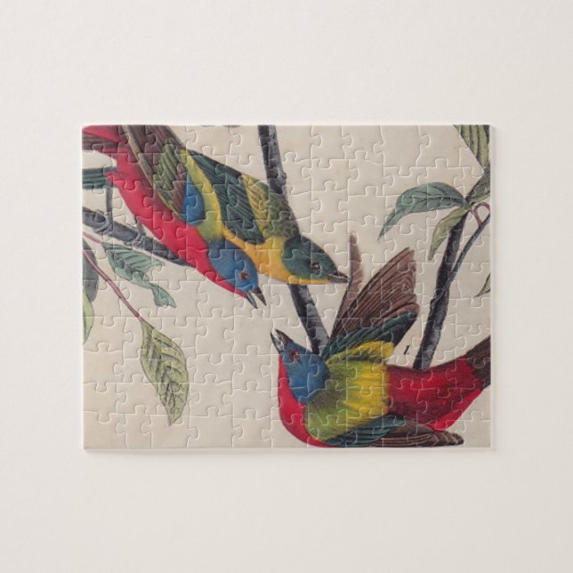 Audubon Painted Bunting Bird Wildlife Jigsaw Puzzle (Horizontal)