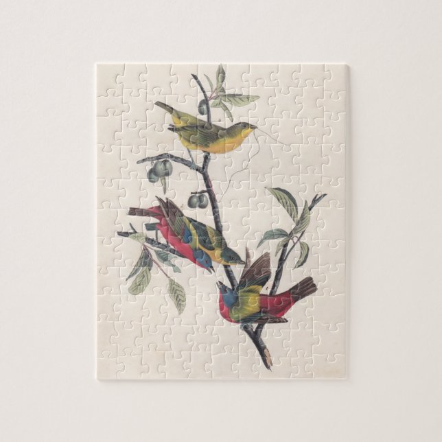 Audubon Painted Bunting Bird Wildlife Jigsaw Puzzle (Vertical)