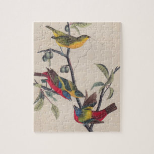 Audubon Painted Bunting Bird Wildlife Jigsaw Puzzle