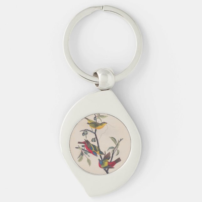 Audubon Painted Bunting Bird Wildlife Keychain (Front)