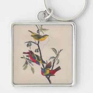 Audubon Painted Bunting Bird Wildlife Keychain