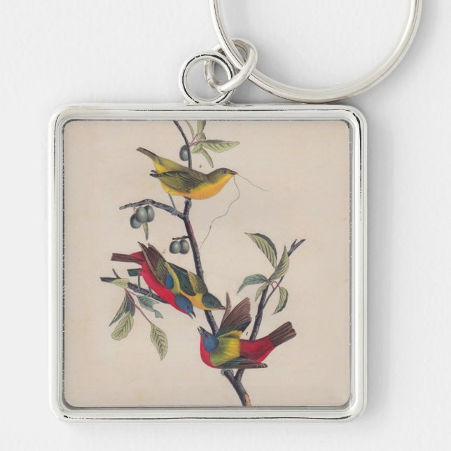Audubon Painted Bunting Bird Wildlife Keychain (Front)