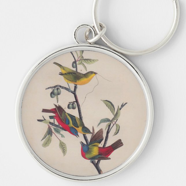 Audubon Painted Bunting Bird Wildlife Keychain (Front)