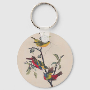 Audubon Painted Bunting Bird Wildlife Keychain
