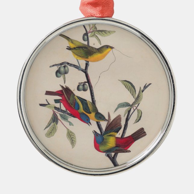 Audubon Painted Bunting Bird Wildlife Metal Ornament (Front)