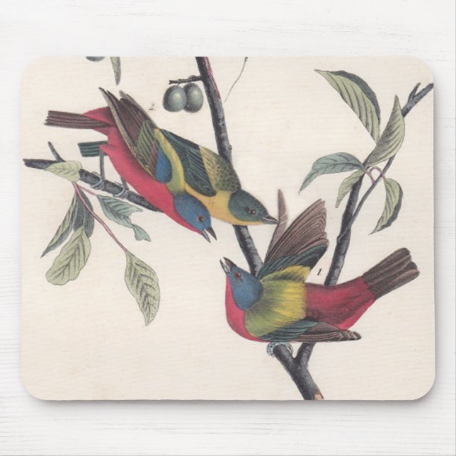 Audubon Painted Bunting Bird Wildlife Mouse Pad (Front)