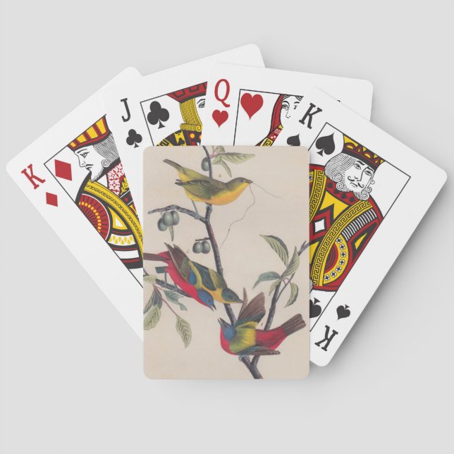 Audubon Painted Bunting Bird Wildlife Playing Cards (Back)