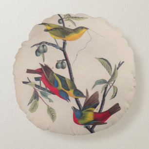 Audubon Painted Bunting Bird Wildlife Round Pillow