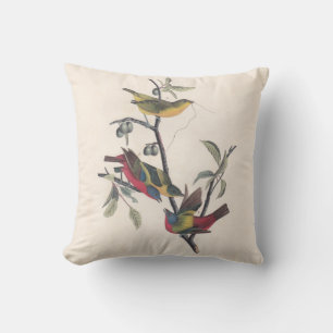 Audubon Painted Bunting Bird Wildlife Throw Pillow