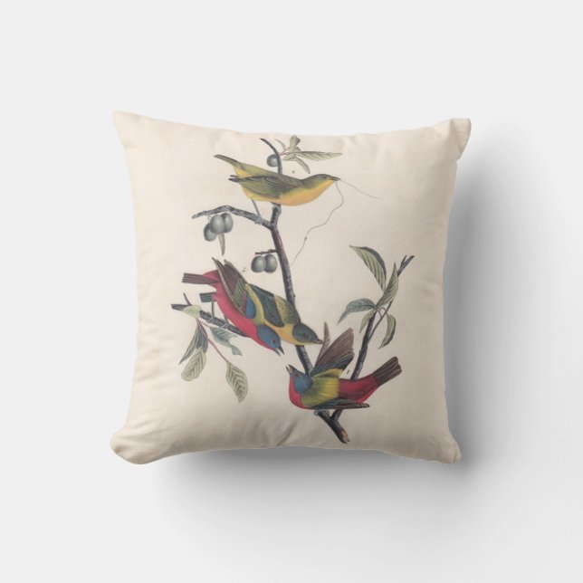 Audubon Painted Bunting Bird Wildlife Throw Pillow (Front)