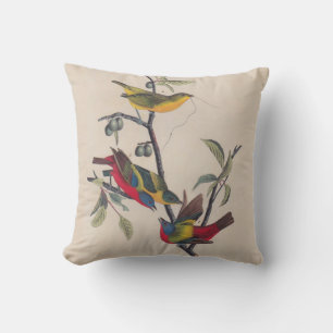 Audubon Painted Bunting Bird Wildlife Throw Pillow
