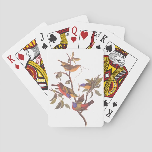 Audubon Painted Bunting Birds in a Cherokee Plum Playing Cards (Back)