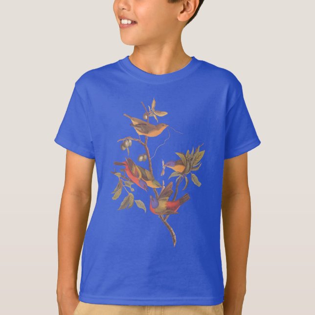 Audubon Painted Bunting Birds in Wild Plum Tree T-Shirt (Front)