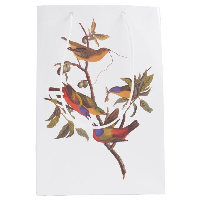 Audubon Painted Bunting Birds is Wild Plum Tree Medium Gift Bag (Front)