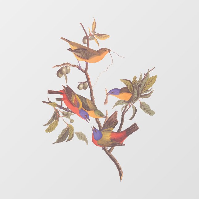 Audubon Painted Bunting Birds is Wild Plum Tree Window Cling (Sheet)