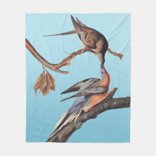 Audubon Pair of Kissing Passenger Pigeons Fleece Blanket