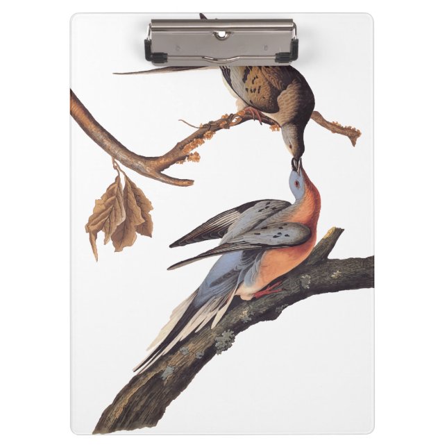 Audubon Pair of Kissing Passenger Pigeons Grocery Clipboard (Front)
