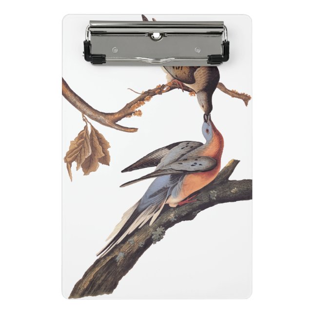 Audubon Pair of Kissing Passenger Pigeons Mini Clipboard (Front)