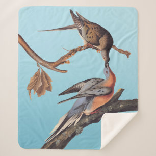 Audubon Pair of Kissing Passenger Pigeons Sherpa Blanket