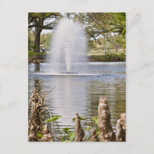 Audubon Park Postcard