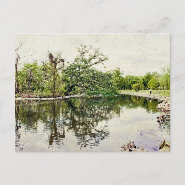 Audubon Park Rookery Postcard (Front)