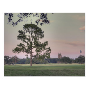 Audubon Park Sunset Photo Print