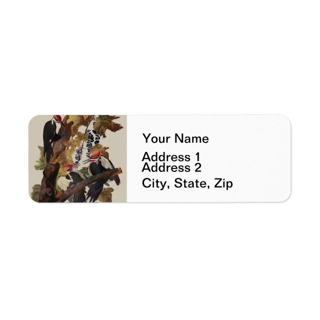 Audubon Peinture d'Oiseaux Pic Pilé (Devant)