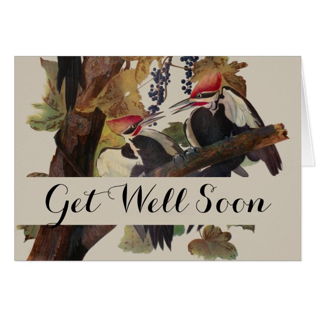 Audubon Pileated Woodpecker Bird Painting (Front Horizontal)