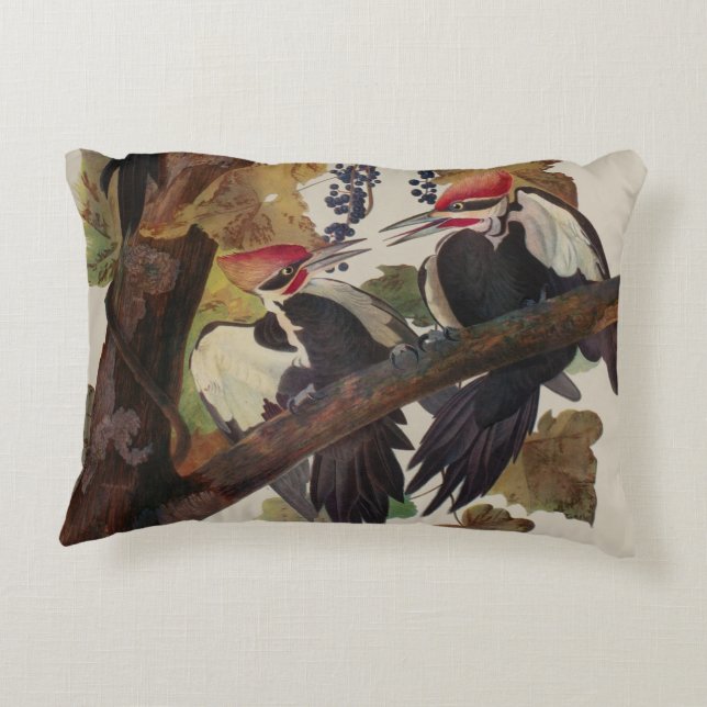 Audubon Pileated Woodpecker Bird Painting Accent Pillow (Back)