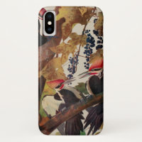 Audubon Pileated Woodpecker Bird Painting