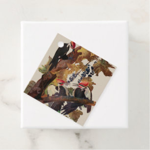 Audubon Pileated Woodpecker Bird Painting Favour Tags