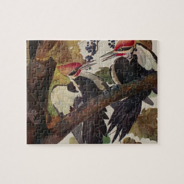 Audubon Pileated Woodpecker Bird Painting Jigsaw Puzzle (Horizontal)