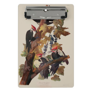 Audubon Pileated Woodpecker Bird Painting Mini Clipboard